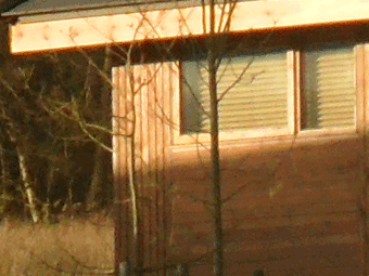 50mm lens example
